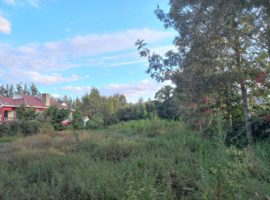 HALF ACRE LAND FOR SALE IN ONGATA RONGAI