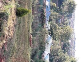 Quarter acre for sale in ngong, mbondeni area